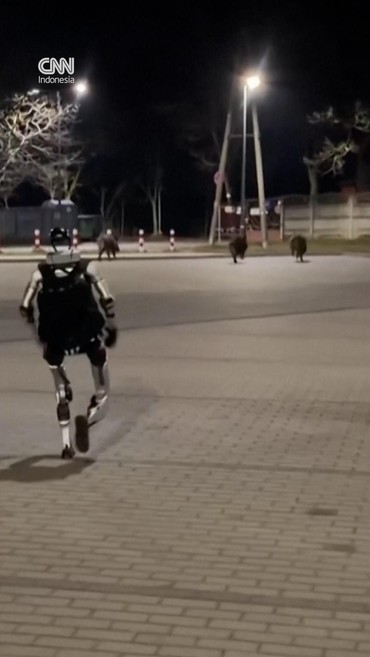 Aksi Heroik Robot Humanoid Usir Babi Hutan di Polandia