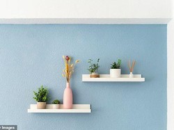 Pakar Interior Bocorkan Warna Cat Ajaib yang Bisa Menaikkan Nilai Rumah