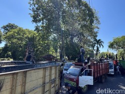 Kantor Gubernur Bali Dipenuhi Ratusan Truk Sampah