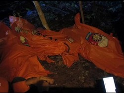 Helikopter PK-CFX Jatuh di Sekadau, 7 Korban Ditemukan Meninggal