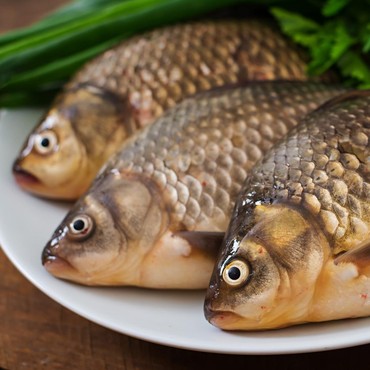 Sehat Nggak Harus Mahal, Ini 10 Ikan Murah Kaya Nutrisi dan Bergizi