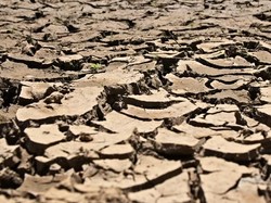 Apa Itu Godzilla El Nino yang Bakal Melanda Indonesia?