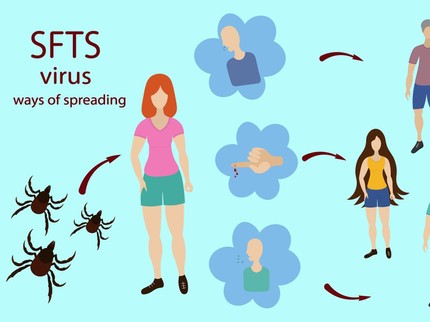 Kutu Pembawa Virus Sebabkan 422 Kematian di Korea Selatan, Ini Gejala yang Perlu Diwaspadai