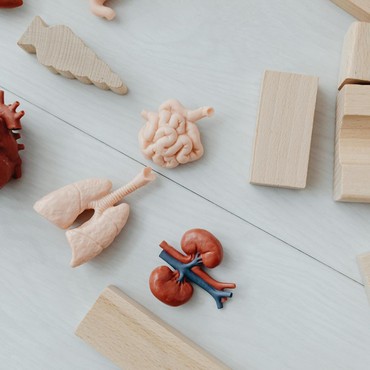 Kasus Gagal Ginjal Melonjak, Masyarakat Indonesia Banyak yang Cuci Darah