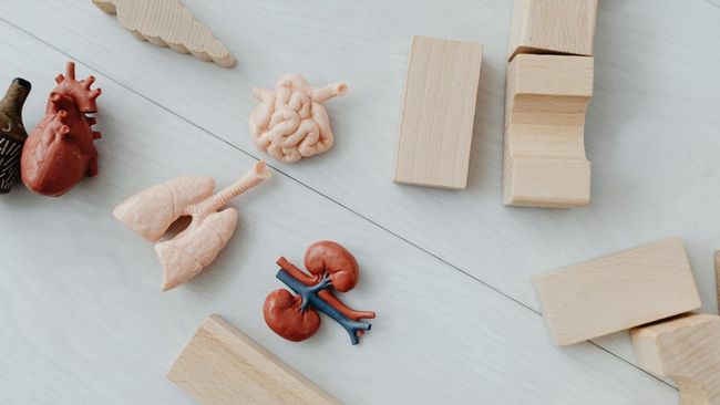 Kasus Gagal Ginjal Melonjak, Masyarakat Indonesia Banyak yang Cuci Darah