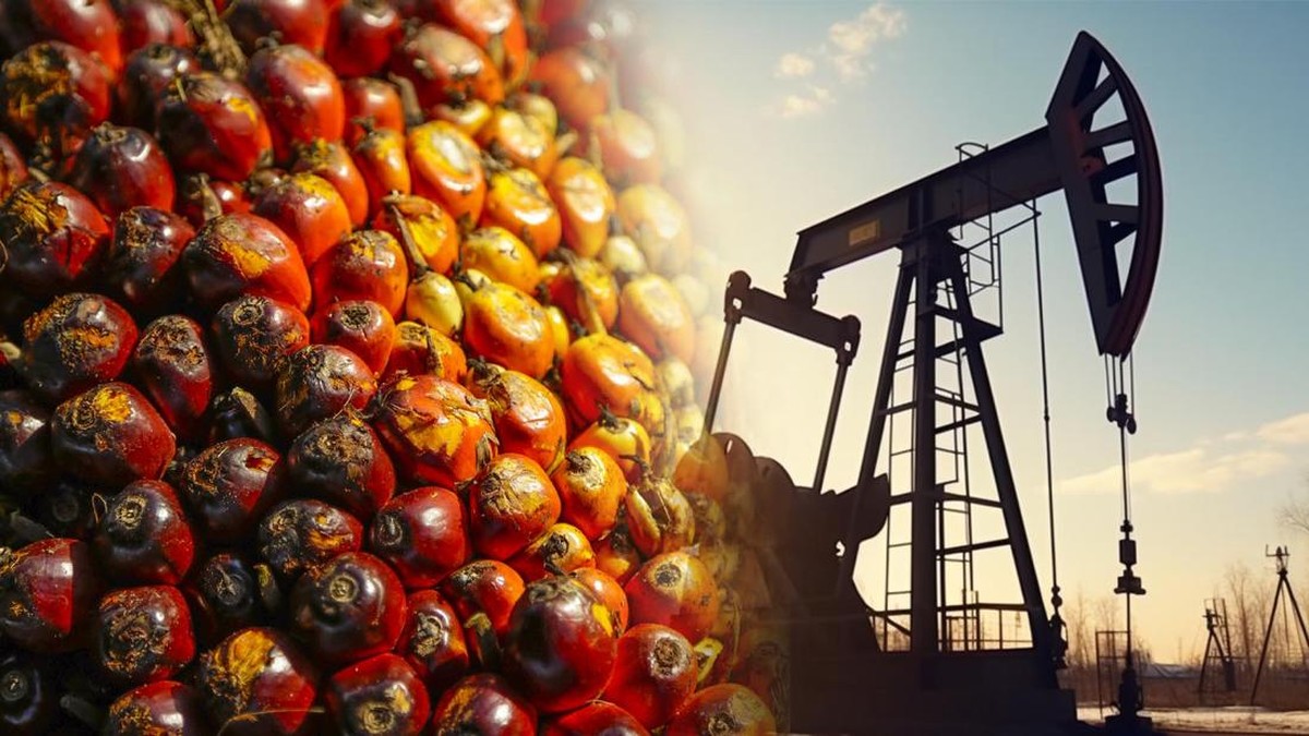 Harga Energi Dunia Ramai-Ramai Terbang: Minyak - Batu Bara Mendidih