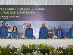 TOBA Rombak Pengurus, Eks Dirjen Pajak Jadi Komut