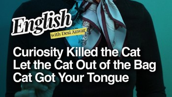 Ada Lho Idiom yang Pakai Kata 'Cat', Ini Artinya