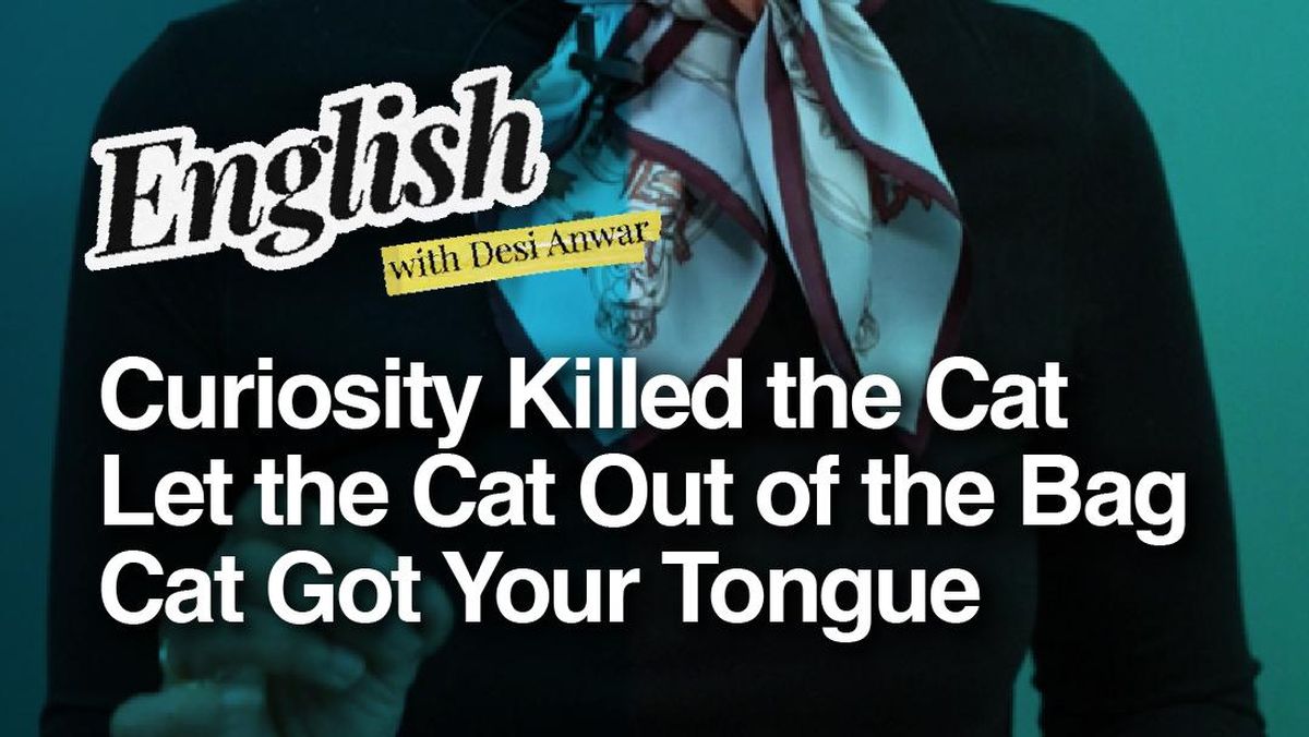 Ada Lho Idiom yang Pakai Kata 'Cat', Ini Artinya