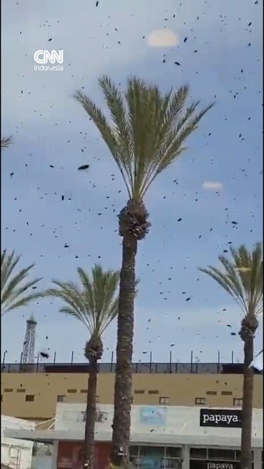 Horor Penampakan Ribuan Lebah Serang Israel sampai Ganggu Bandara