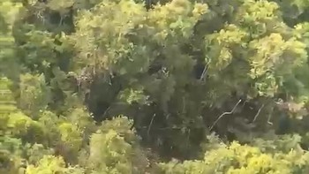 Penampakan Lokasi Helikopter yang Hilang Kontak di Kalbar