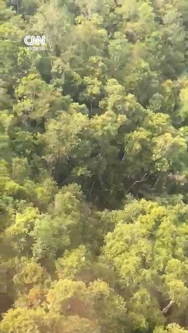 Penampakan Lokasi Helikopter yang Hilang Kontak di Kalbar