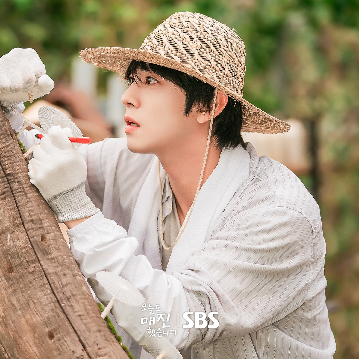 Transformasi Ahn Hyo Seop jadi petani jamur di drama Korea Sold Out on You&period;