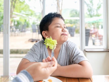 Obesitas Anak Remaja Bisa Mengubah Otak yang Berkaitan dengan Emosi & Daya Ingat