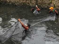 Video: Pramono Anung Kerahkan Petugas Khusus Tangani Invasi Ikan Sapu-sapu