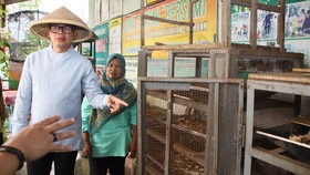 Wamendagri Dorong Pengelolaan Kampung di Magelang Jadi Model Nasional