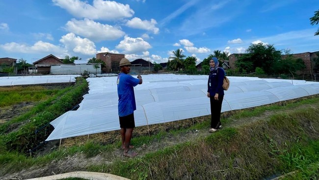 Kisah inspiratif Sri Malasarin, Mantri BRI di Lombok, yang memberdayakan ekonomi masyarakat dengan akses pembiayaan dan pendampingan.