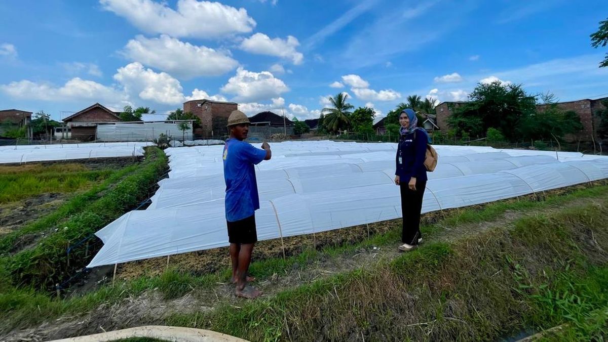 Kisah Inspiratif Mantri Bri Di Lombok, Sosok Yang Menggerakkan Ekonomi