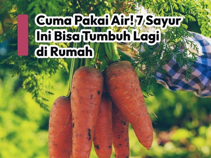Cuma Pakai Air! 7 Sayur Ini Bisa Tumbuh Lagi di Rumah