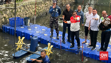 Jakarta Mulai Perang Basmi Ikan Sapu-Sapu Serentak di 5 Kota