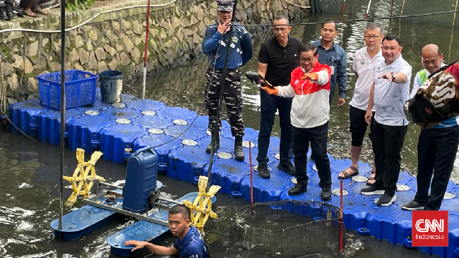 Pemprov DKI memulai penangkapan ikan sapu-sapu di lima wilayah untuk menekan populasi spesies invasif yang mengancam ekosistem perairan air tawar ibu kota.