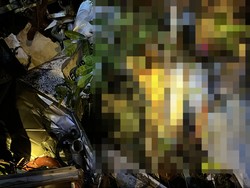 Jatuhnya Helikopter PK-CFX di Sekadau, 3 dari 8 Jenazah Terjepit Badan Heli