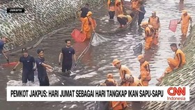 VIDEO: Pemkot Jakpus: Hari Jumat Sebagai Hari Tangkap Ikan Sapu-Sapu