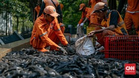 Pemkot Jaksel Bentuk Tim Awasi Pedagang Siomay Ikan Sapu-Sapu
