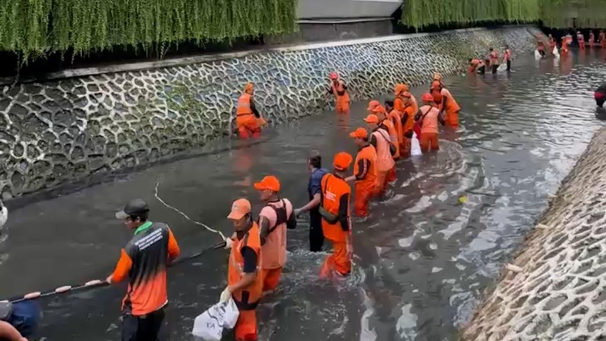 Aksi Pasukan Oranye Berburu Sapu-sapu Di Jakarta