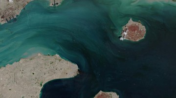 20 Kapal Lewati Selat Hormuz Pekan Lalu, Ada yang ke RI