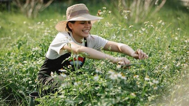 Slow Dopamine, Cara Baru Menemukan Kebahagiaan yang Lebih Tahan Lama