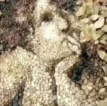 Tes Kepribadian: Gambar Pertama yang Dilihat Ungkap Kamu Bahagia atau Sedang Dilanda Stres