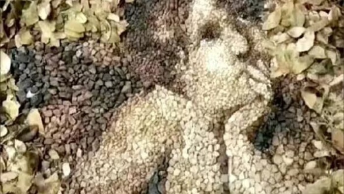 Tes Kepribadian: Gambar Pertama yang Dilihat Ungkap Kamu Bahagia atau Sedang Dilanda Stres