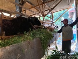 Potret Kehidupan Nurkidin yang Bertahan di Tengah Keterbatasan