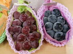 3 Anggur Jepang yang Renyah Juicy, Shine Muscat hingga Nagano Purple