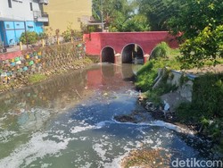 Heboh Ikan Mati Massal di Sungai Belik Bantul, Diduga Terpapar Limbah