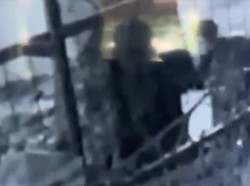 Terekam CCTV Detik-detik Pelaku Buang Bayi di Bawah Pohon Malang