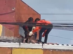 Bocah Jember Tewas Tersengat Listrik Saat Ambil Layang-layang di Atap