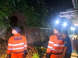 17 Titik di Bogor Diterjang Longsor dan Pohon Tumbang Akibat Hujan Deras