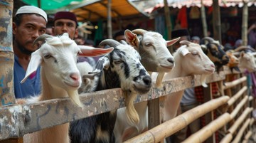 10 Cara Menabung untuk Kurban Iduladha agar Tidak Terasa Berat