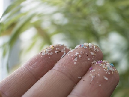 Ilmuwan Ungkap Buah dan Sayur dengan Kandungan Mikroplastik Tinggi, Hati-hati Bun!