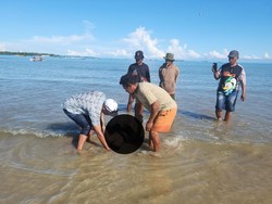 Pria Asal TTS Ditemukan Tewas Mengapung Di Pantai Oesapa Kupang