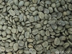 Karangsari, Desa Kopi di Kuningan Penggerak Ekonomi Warga