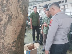 Bayi 10 Hari Ditemukan Tewas Terbungkus Kardus di Bawah Pohon Malang