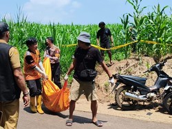 Hendak Cari Rumput, Warga Wonosalam Jombang Temukan Mayat Pemuda