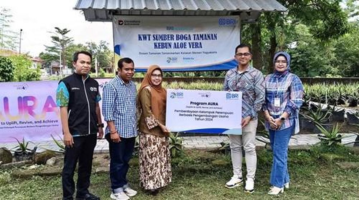 Ikut Desa BRILian, KWT di Jogja Kembangkan Lidah Buaya Jadi Cuan