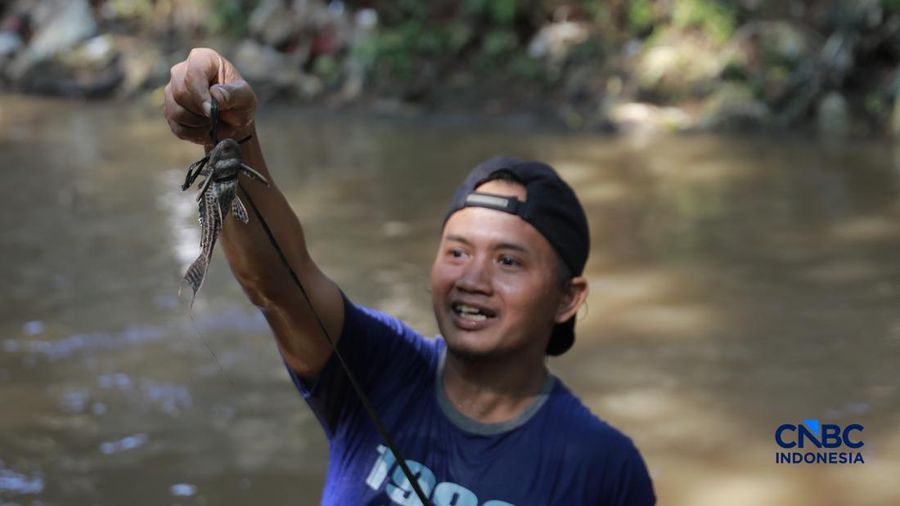 Petugas PPSU Kelurahan Gedong menunjukkan ikan sapu-sapu usai ditangkap di Kali Baru, Pasar Rebo, Jakarta Tinur, Senin (20/4/2026). (CNBC Indonesia/Muhammad Sabki)