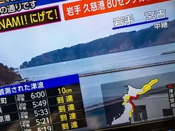 Kesaksian WNI Saat Gempa M 7,7 di Jepang: Guncangannya Lama