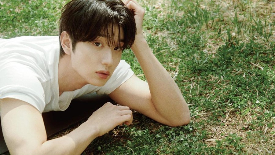 Kim Jae Won&comma; pemeran utama pria dalam season ketiga Yumi's Cells&period;