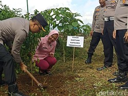 Kapolres Trenggalek Ikuti Jejak Mbah Sadiman Tanam Beringin di Lahan Kritis